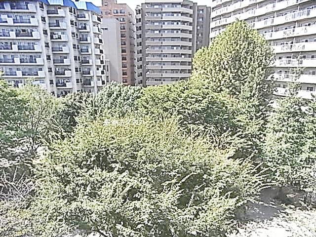 View photos from the dwelling unit. View from local