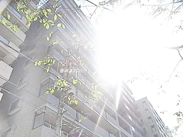 Local appearance photo. Park is adjacent