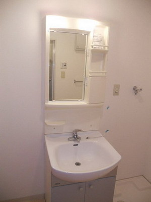 Washroom. Independent wash basin dressed up even to pat determined