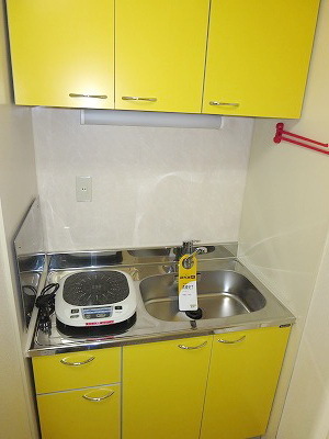 Kitchen. IH hob kitchen