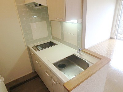 Kitchen. Stylish counter kitchen