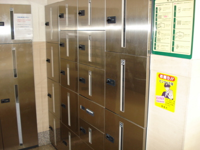 Other. Convenient home delivery BOX