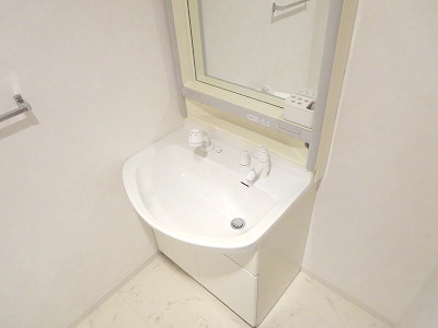 Washroom. Shampoo dresser