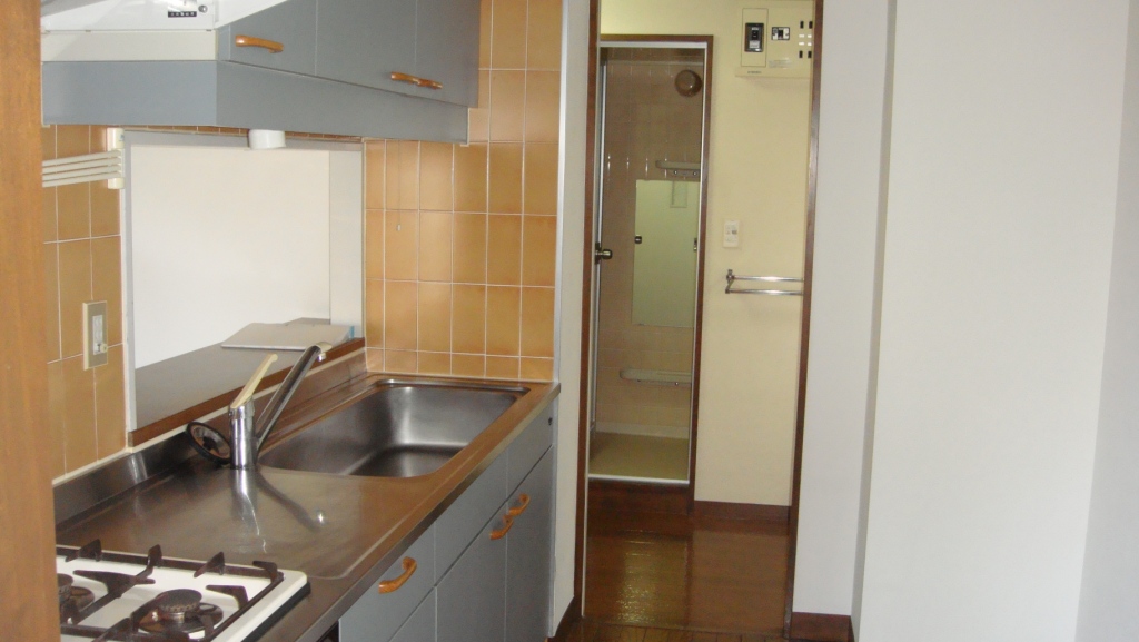 Kitchen. The kitchen is a good easy to use 2WAY. 