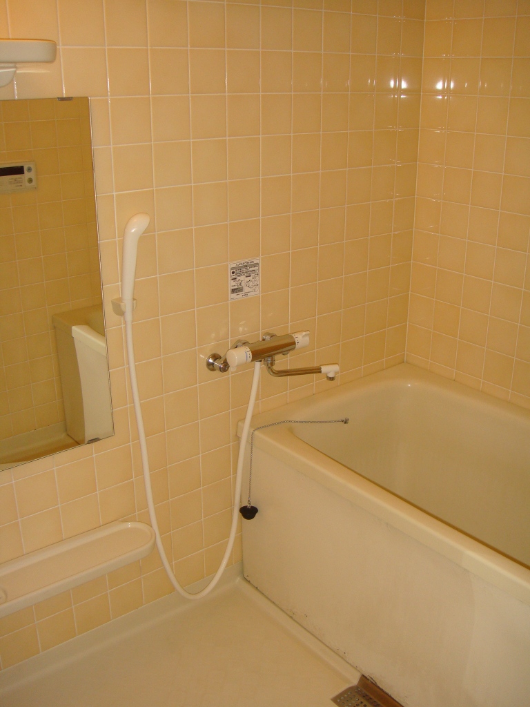 Bath. It is a large bathtub. 