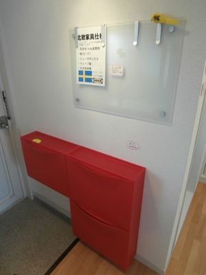 Entrance. Stylish shoes input