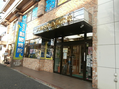 Hospital. 90m animal to the hospital (hospital)