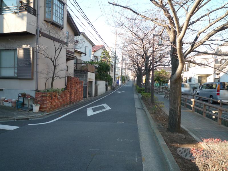 Local photos, including front road. Local (12 May 2014) Shooting