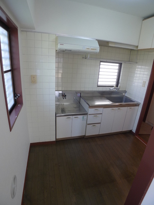 Kitchen. Two-burner gas stove can be installed