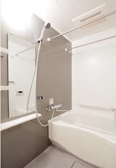 Bath. Clean bathroom