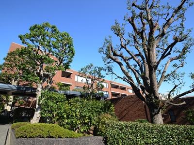 Local appearance photo. Local (11 May 2013) Shooting