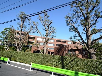 Local appearance photo. Local (11 May 2013) Shooting