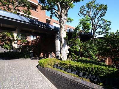 Local appearance photo. Local (11 May 2013) Shooting