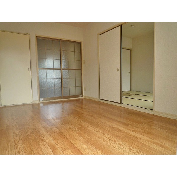 Living and room. Bright room