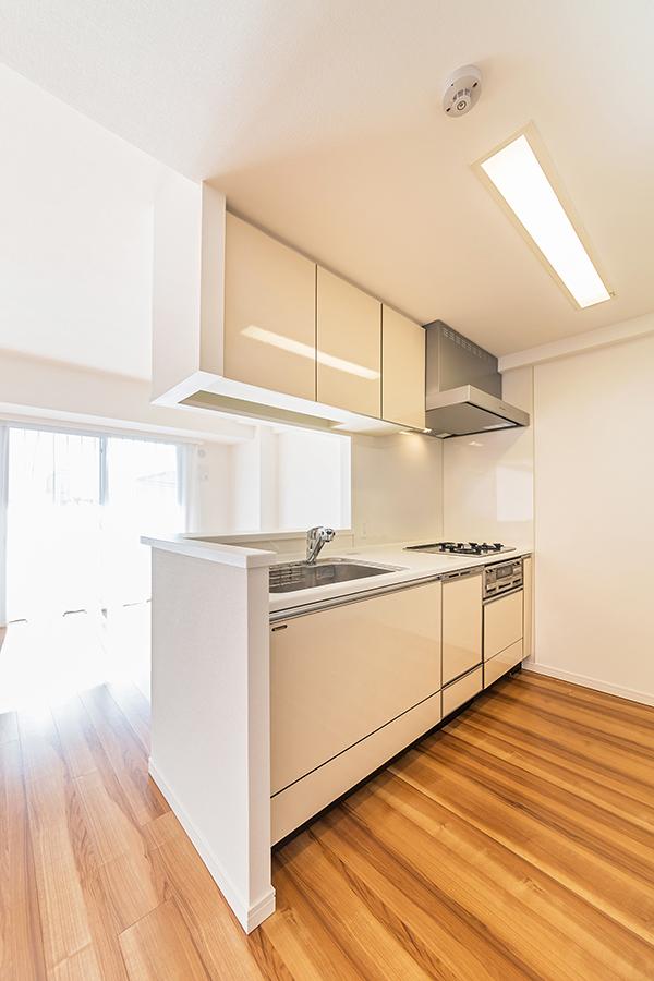 Kitchen. Dishwasher system Kitchen