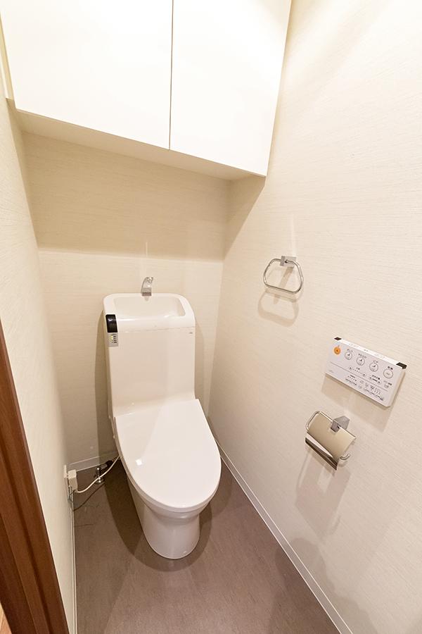 Toilet. Bidet with toilet