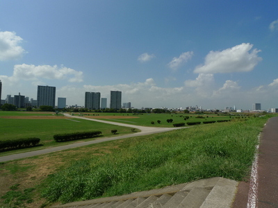 Other. Tama River 351m to green space (Other)