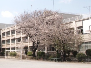Junior high school. Magome 579m until junior high school (junior high school)