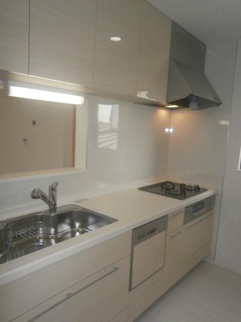 Kitchen. Local (June 2013) Shooting