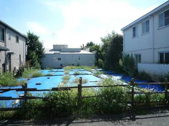 Local land photo. Local Photos