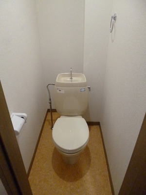 Bath. Toilet photo is the first floor of the room