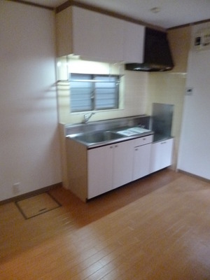 Kitchen. Two-burner gas stove installation Allowed kitchen photo is the first floor of the room