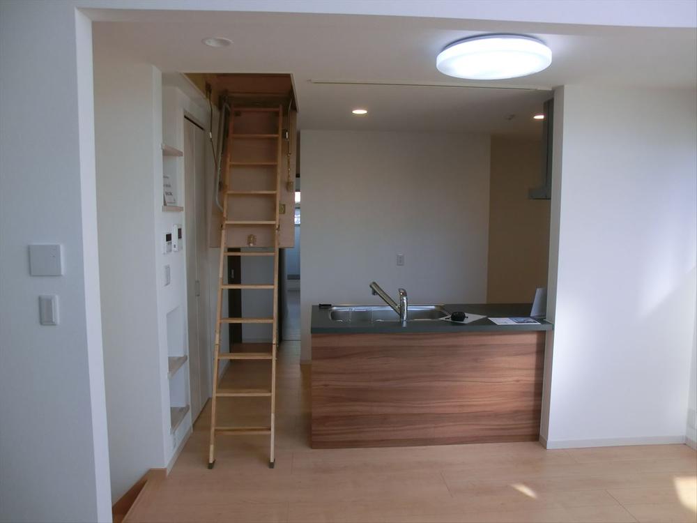 Other introspection. Ladder to the attic storage