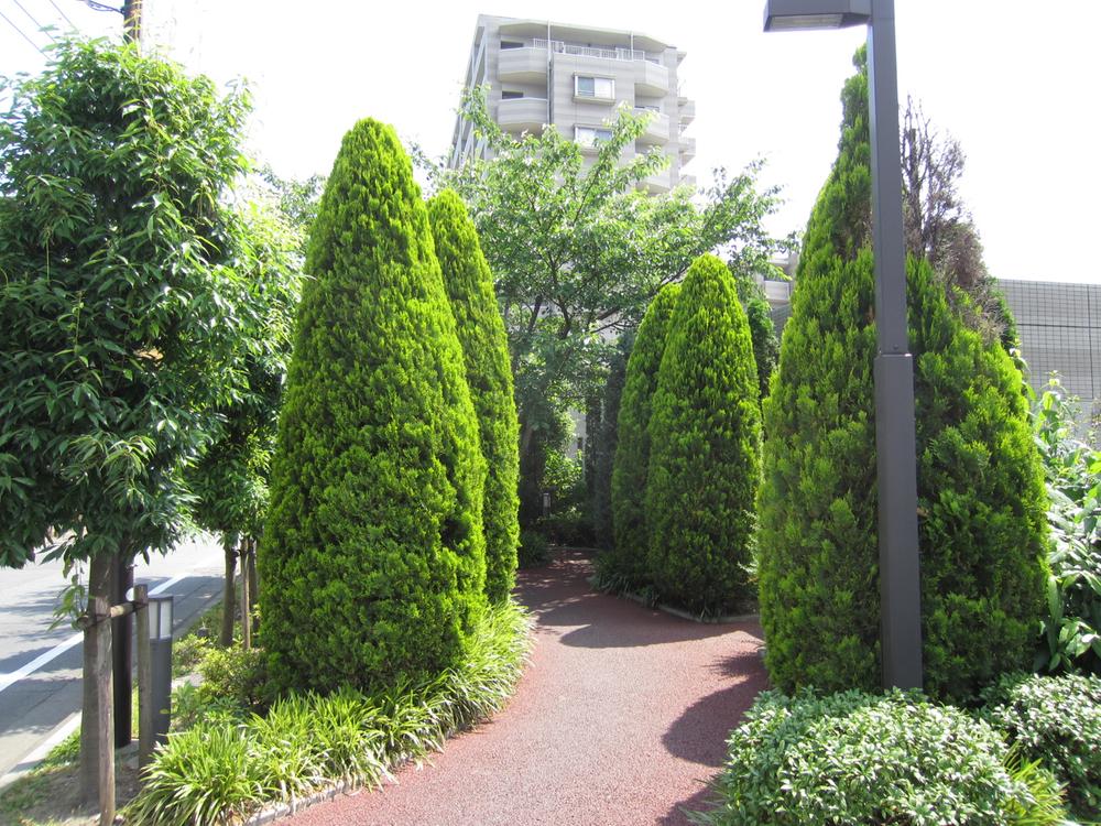 Other common areas. Site around, Also it has become disposed sidewalk planting.