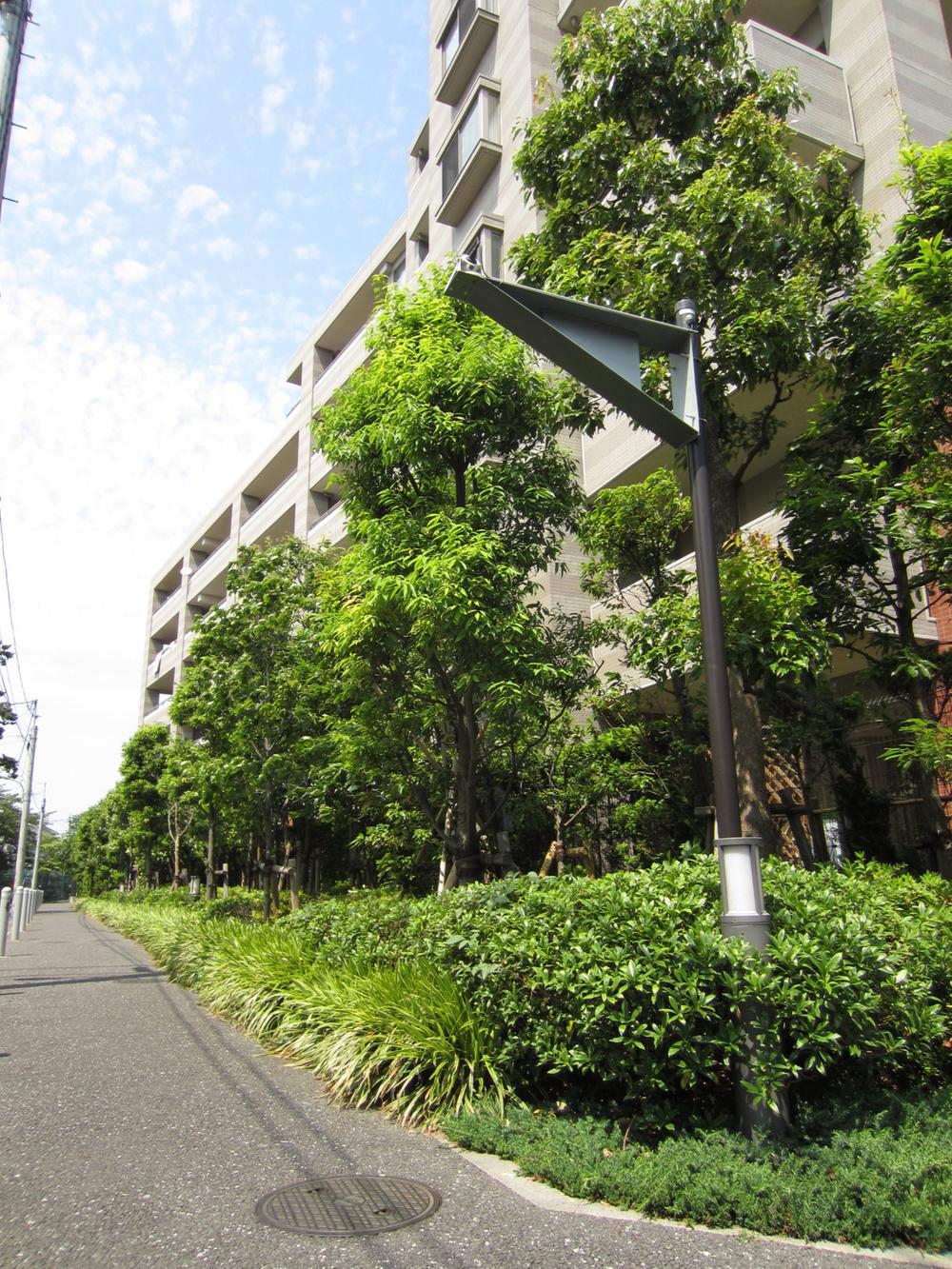 Other common areas. Site around, Also it has become disposed sidewalk planting.