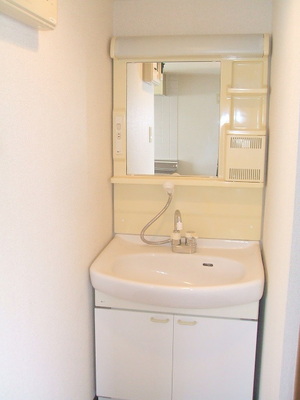 Washroom. Shampoo dresser