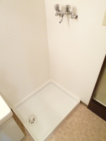 Washroom. Is Indoor Laundry Area