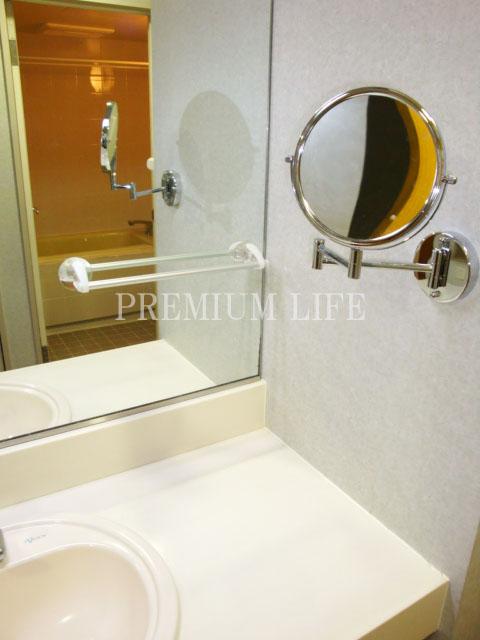 Wash basin, toilet. Wash basin