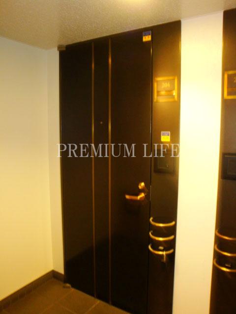 Entrance. Entrance door