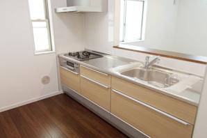 Adopted Cleanup "Clean Lady" is in the kitchen (Building 2 / August 2013 shooting)