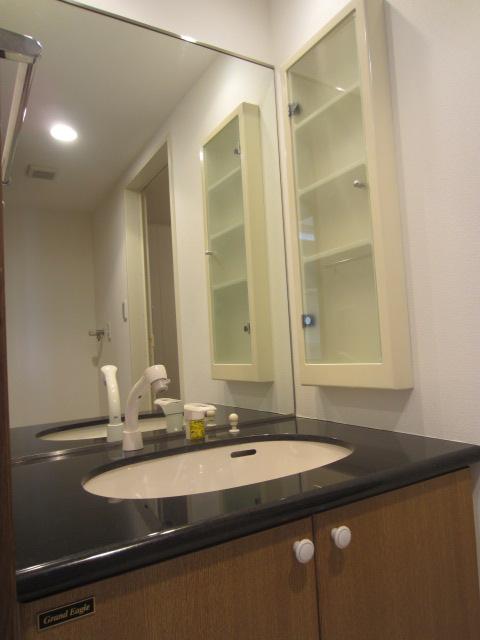 Wash basin, toilet. Bathroom vanity