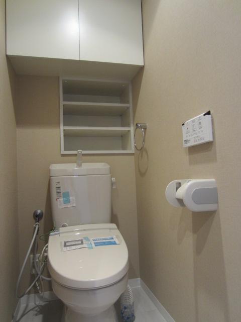 Toilet. With storage shelf