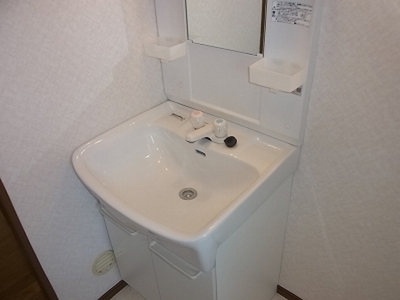 Washroom. Beautiful independent wash basin