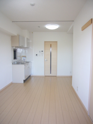 Other. Western-style (10.8 Pledge) With lighting equipment