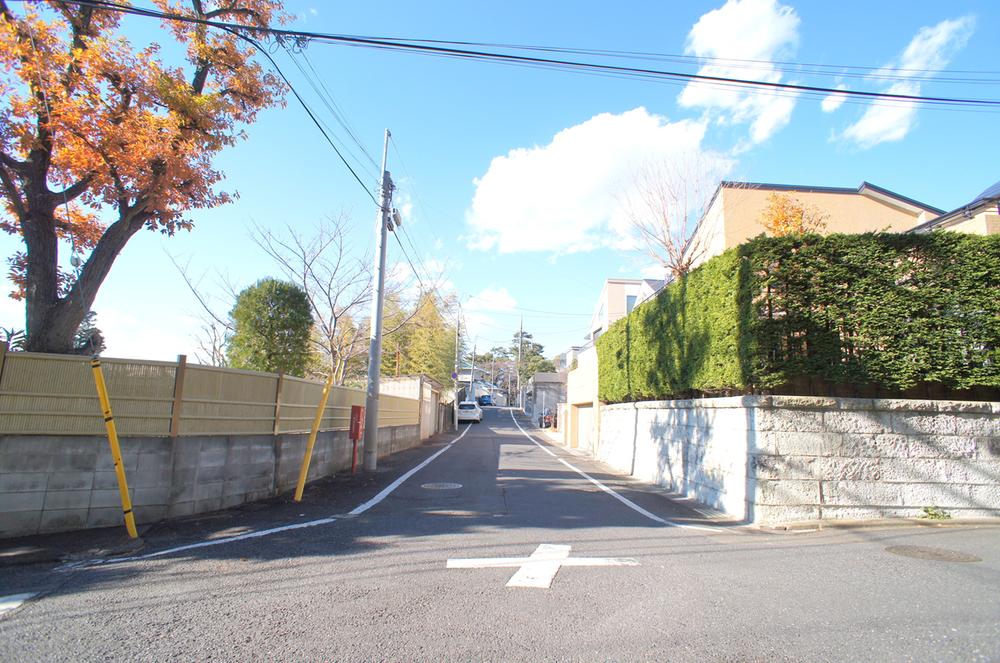 Other local. Local (12 May 2013) Shooting