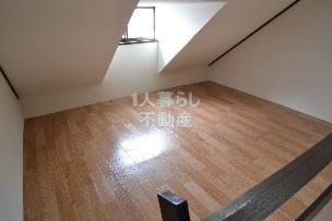 Other. Also high ceilings