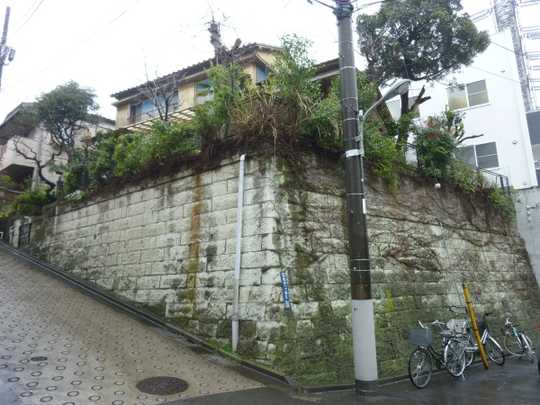 Local land photo. Appearance (1)