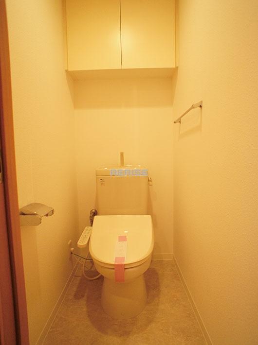 Toilet. Washlet toilet
