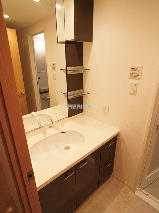 Wash basin, toilet. Vanity with a shower head