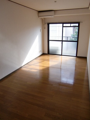 Living and room. Clean room