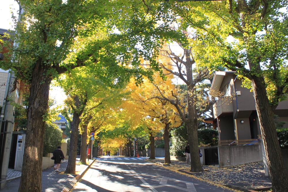 Other Environmental Photo. "Denenchofu" Station 880m to Ginkgo trees