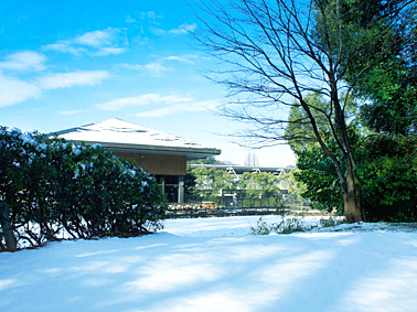 Surrounding environment. Seseragi park (about 200m)