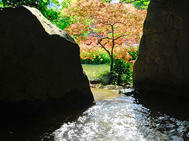 Surrounding environment. Hourai park (about 1030m)