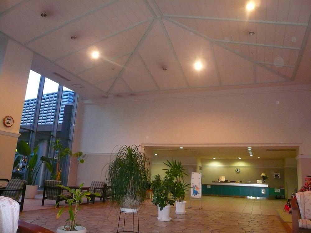 Entrance. Common areas