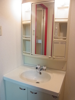 Washroom. Wash basin