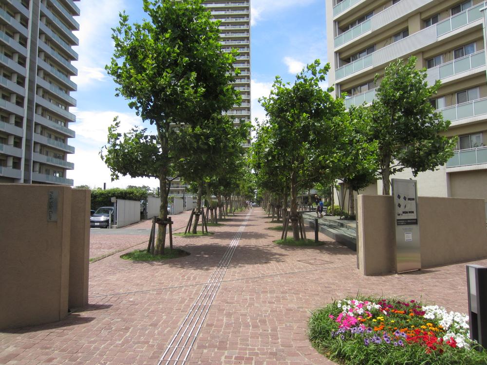 Entrance. The entire entrance ・ Approach "avenue of Suzukake" / 2013 December shooting